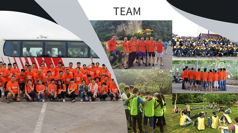 Team