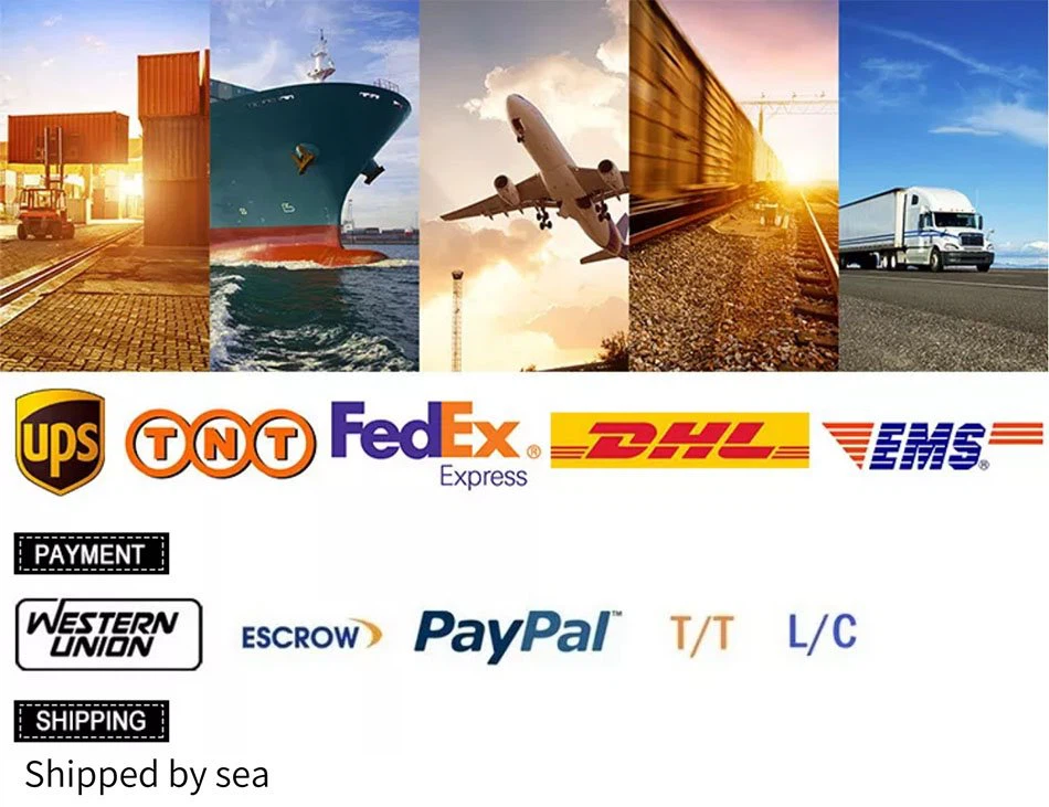Packaging and Shipping